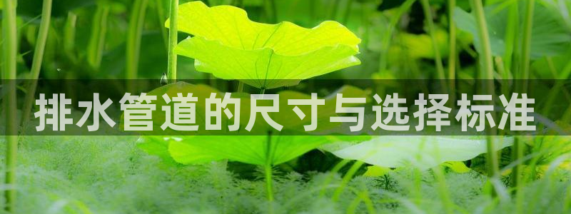 天辰娱乐文案