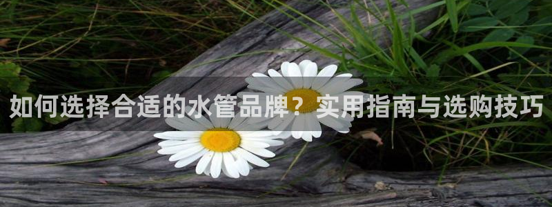 天辰娱乐入口