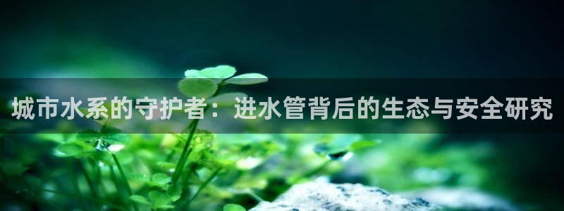 天辰娱乐675138