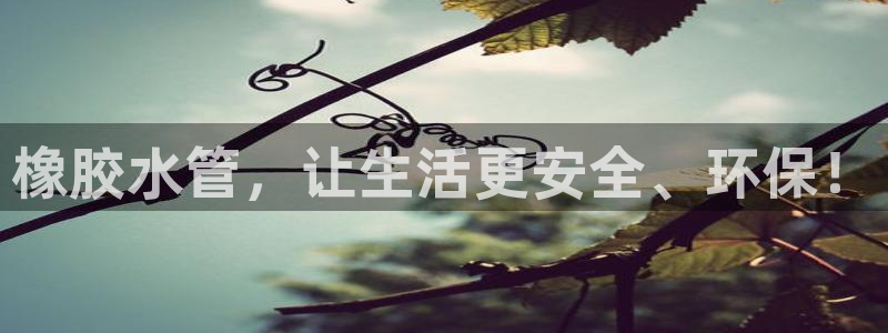 天辰娱乐总管年薪