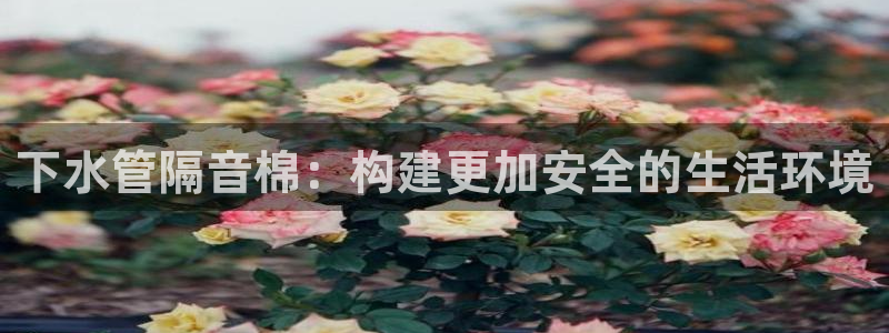 天辰娱乐内部