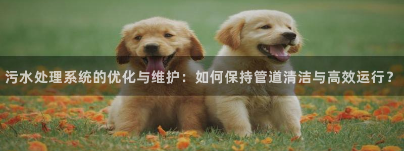 手机上怎么下载天辰娱乐