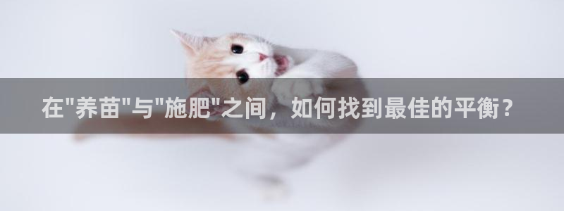 天辰娱乐欢乐
