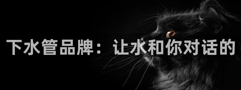 大同天辰娱乐
