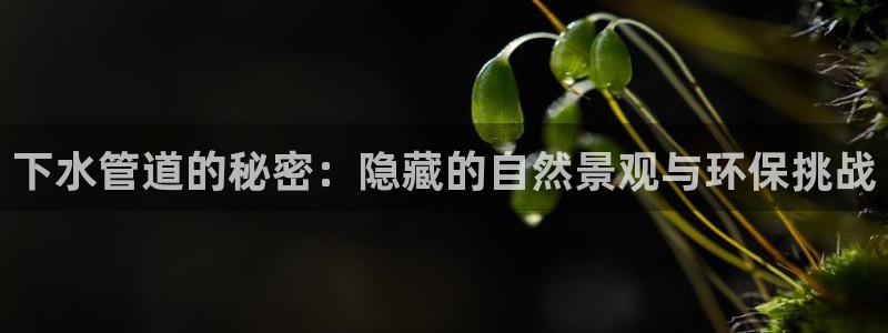 天辰娱乐平台入口