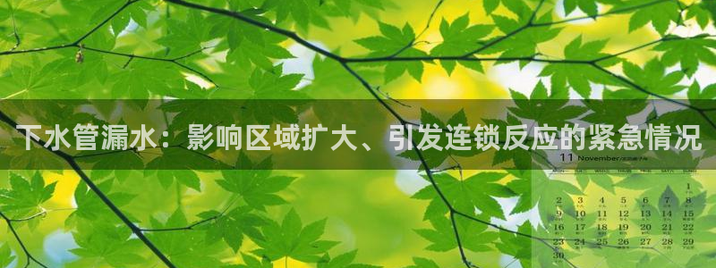 天辰娱乐分红