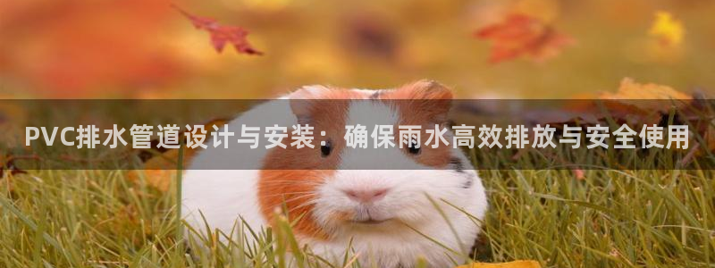 天辰娱乐怎么样