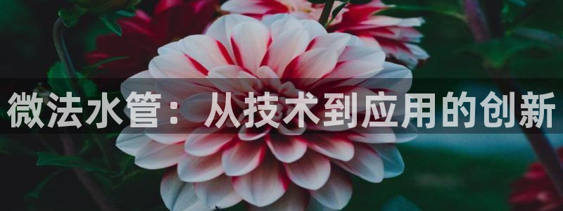 天辰辰娱乐代理