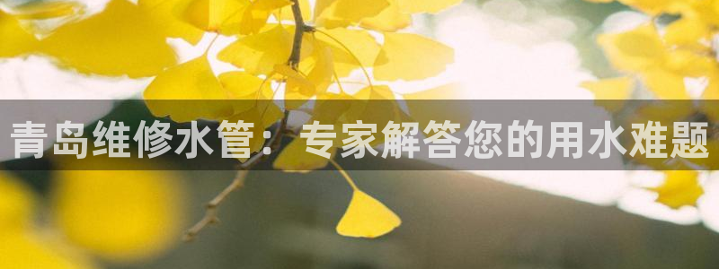 天辰辰娱乐代理