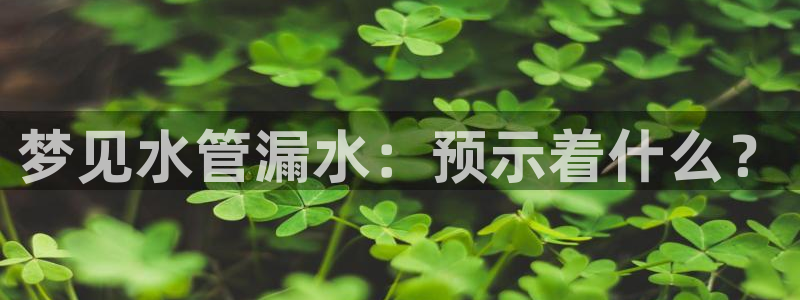 天辰娱乐欢乐