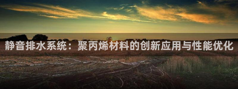 天辰娱乐黑人