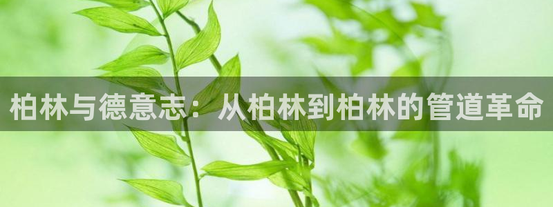天辰娱乐平台app下载
