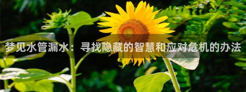 天辰娱乐所