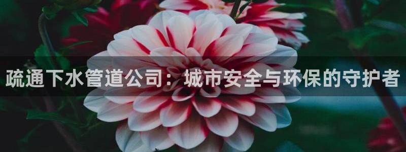 天辰娱乐39974神
