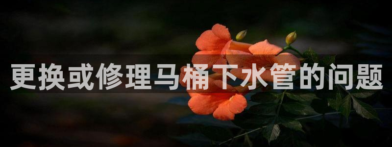 天辰娱乐60447