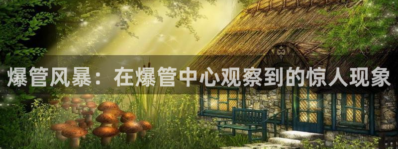 天辰娱乐 首选