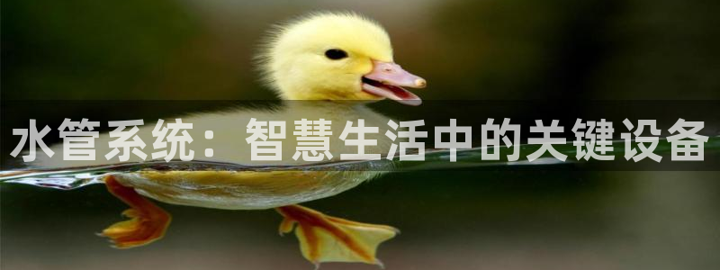 天辰娱乐481928