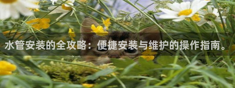 天辰娱乐彩票