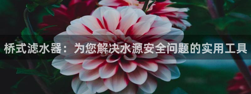 天辰娱乐代理