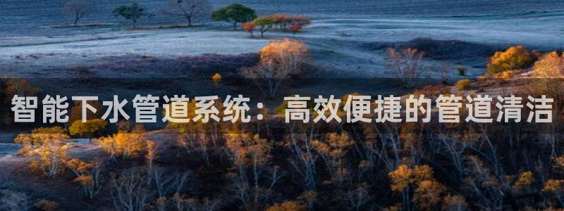 天辰娱乐游客