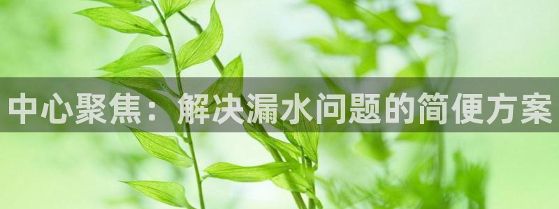 天富娱乐天辰娱乐