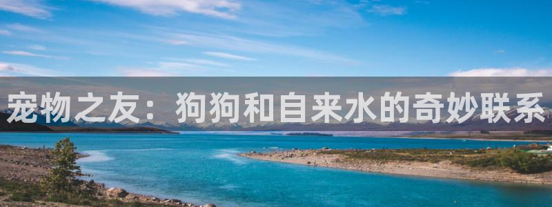 天辰娱乐传媒