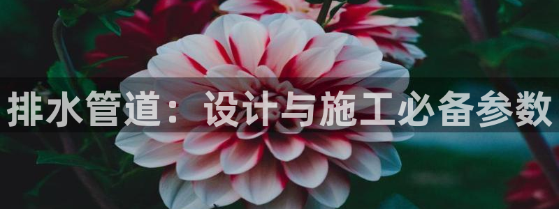 菲律宾天辰娱乐