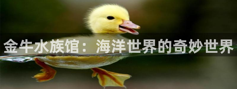 天辰娱乐39974神