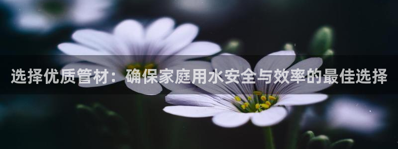 天辰娱乐地址