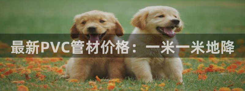 天辰a娱乐