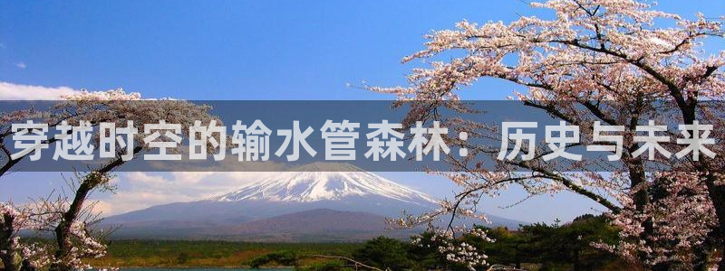 天辰娱乐鱼刺