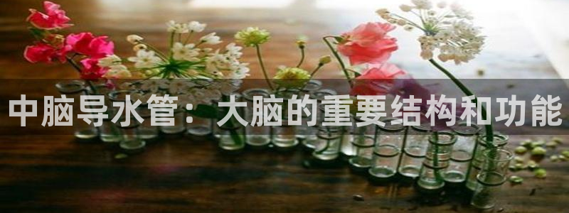 天辰娱乐在线登录注册