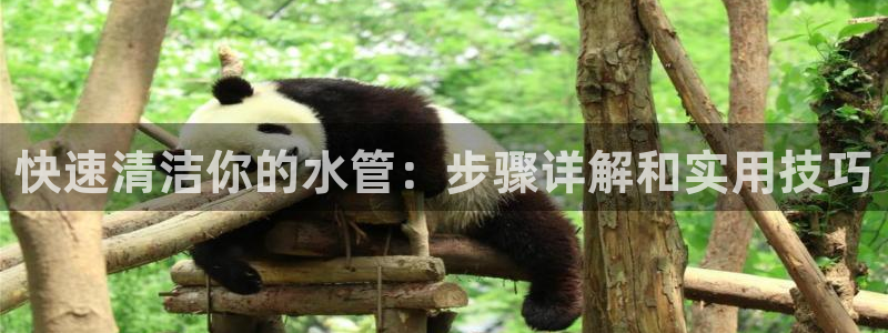 天辰娱乐网址娱乐游戏