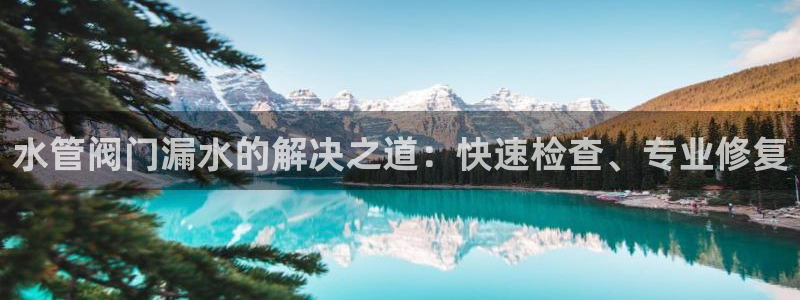 天辰娱乐官网平台入口