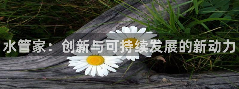 天辰娱乐跑的快