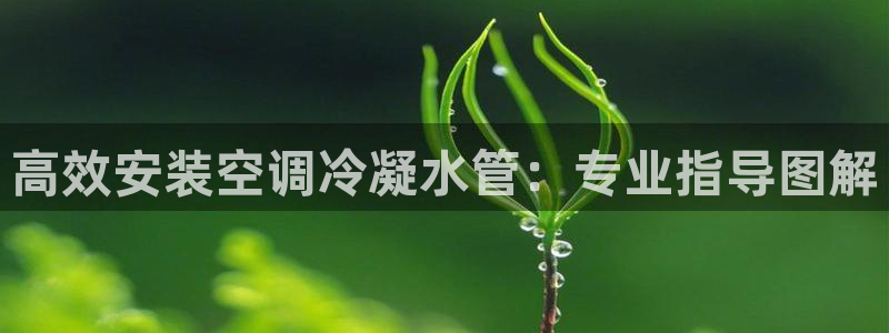 天辰娱乐娱乐平台