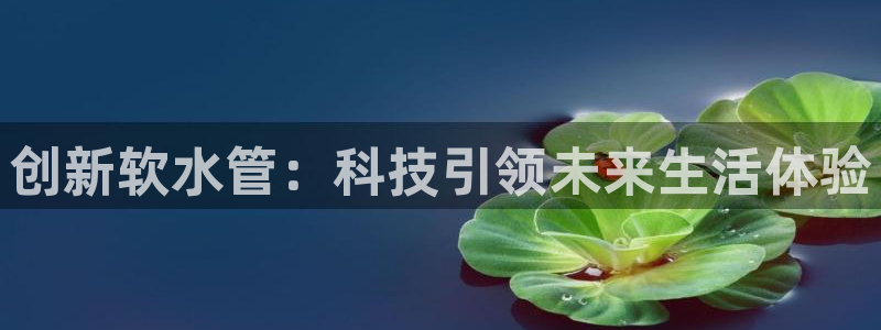 手机上怎么下载天辰娱乐