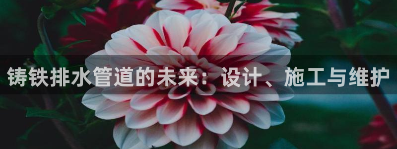 天辰娱乐平台安全吗