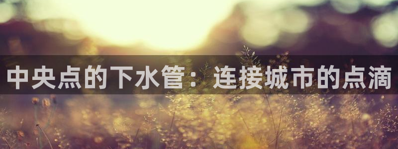 天辰娱乐平台app下载