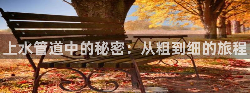 天辰娱乐十分彩