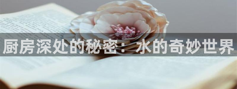 天辰辰娱乐代理