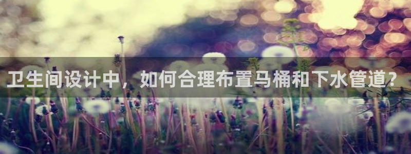 天辰团队贝高娱乐